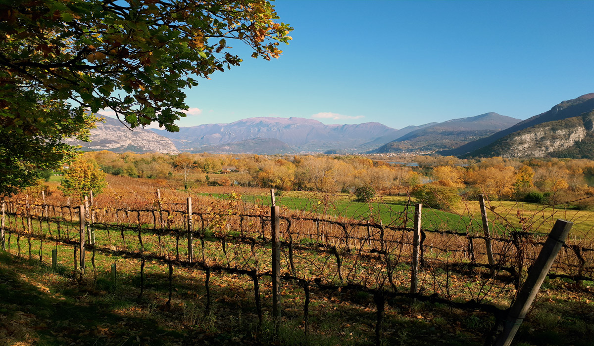 Le torbiere del Sebino viste da Provaglio di Iseo